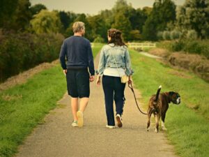 photo of couple walking with dog