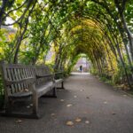 Photo of park with bench